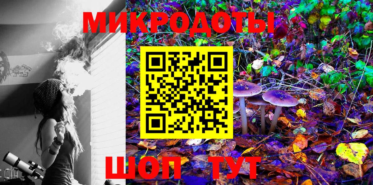 Галлюциногенные грибы Cubensis  Вход с VPN  Зеленогорск 
